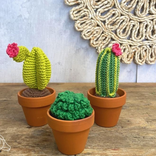 DIY Haakpakket - Cactussen